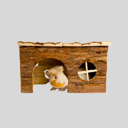 kleintierhaus bubblenavibild